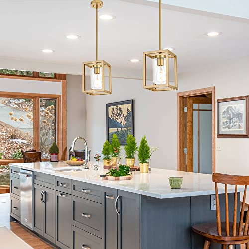 1 Light Rustic Chandelier in Gold Finish Modern Industrial Pendant Lighting Fixture with Clear Glass Shade Hanging Ceiling Light for Dining Room (Gold / 1 Light)