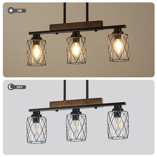 Dining Room Light Fixture