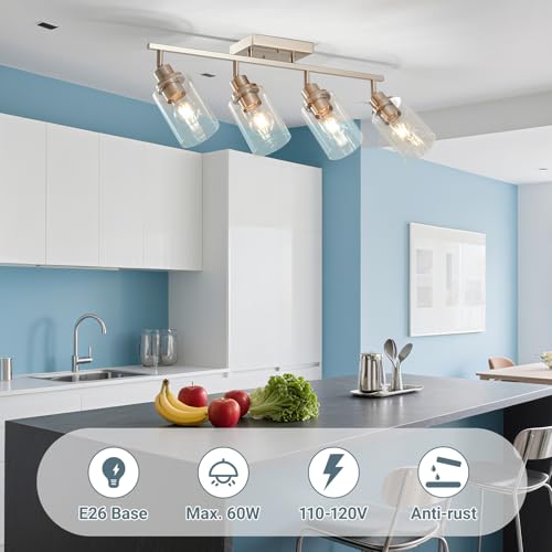 4 Light Brushed Nickel Track Lighting Kit with Clear Glass (Brushed Nickel / 4-Light)
