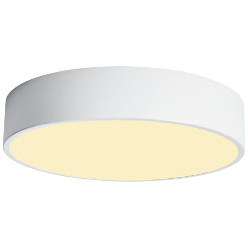 Modern LED Round Flush Mount Ceiling Light Fixture