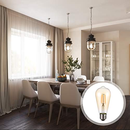 Vintage LED Edison Bulbs 4W ST58 (Amber Glass-2700k / 6 Count (Pack of 1))