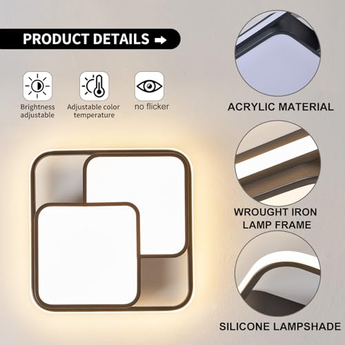 Modern Ceiling Light with Remote for Bedroom Living Room Kitchen Hallway 0109