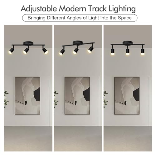 3 Light Track Lighting Fixtures Ceiling (3 light black)
