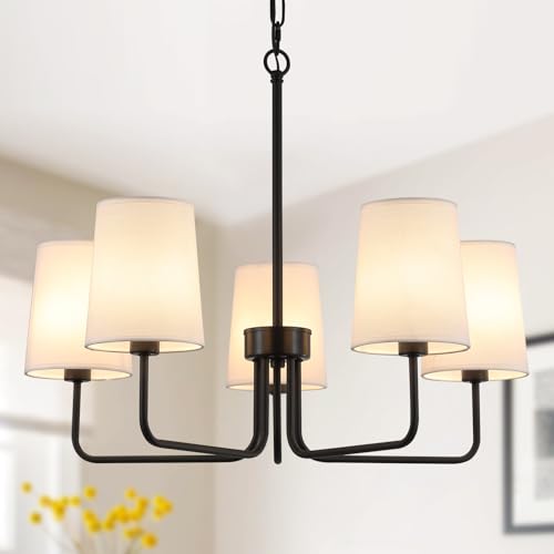 Chandelier with Shade