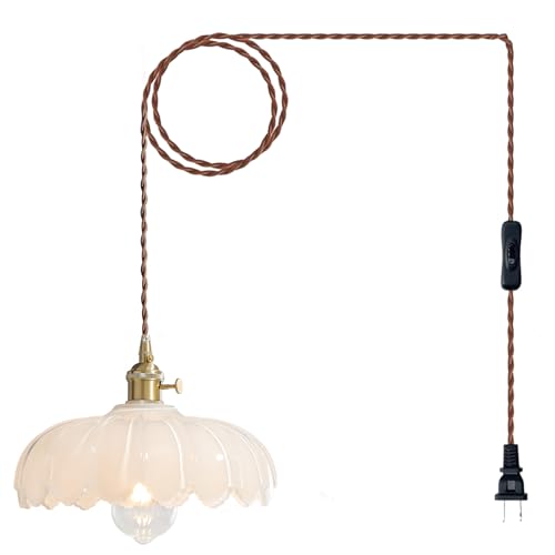 Plug in Pendant Light