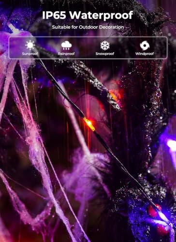 Halloween Spider Web Lights
