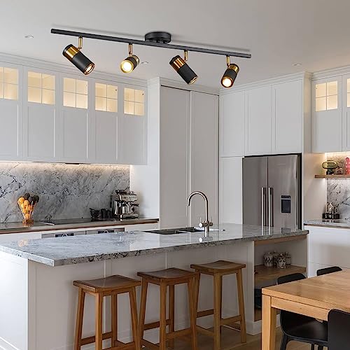 Black 4 Light Track Lighting (Black(4-lights))