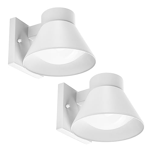 2 Pack LED Outdoor White Front Porch Lights (C-White)