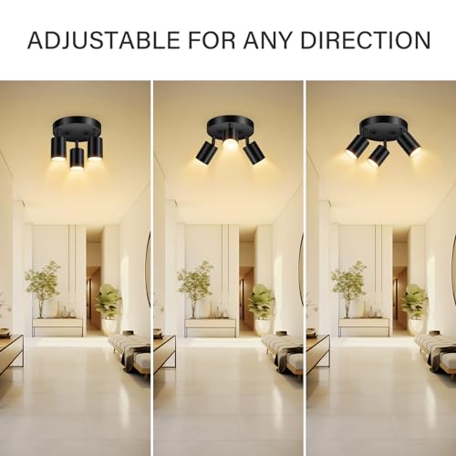 LED 3 Light Track Lighting Kit (Black)