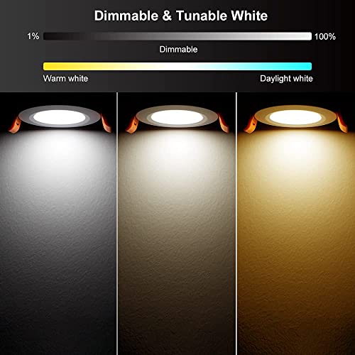 Smart 2 Inch LED Recessed Lighting RGB WiFi Downlight (RGB (Red, Green, Blue) / 1 Pack (White))