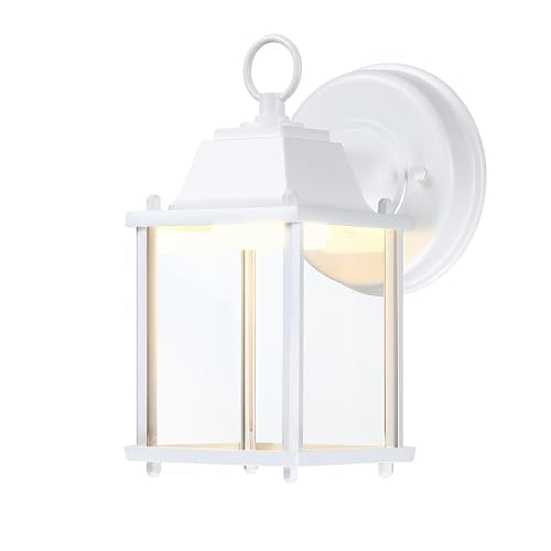 Outdoor Wall Light Fixture (3000K White / 1-pack)