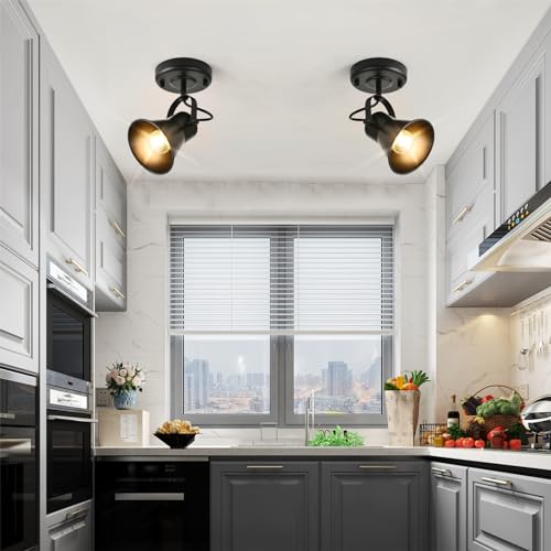 Industrial Mini Track Lighting Ceiling Light (1-Light (2 Pack) / Black)