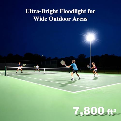 300W Dusk to Dawn Outdoor Light (100W*3-DTD)