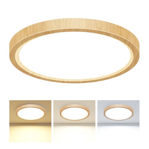 LED Ceiling Light