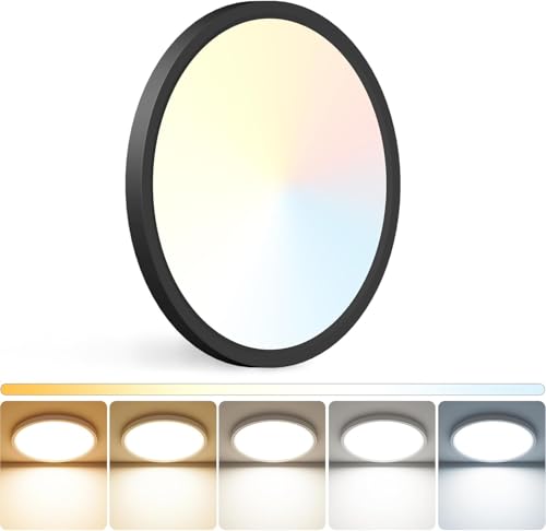 LED Ceiling Light