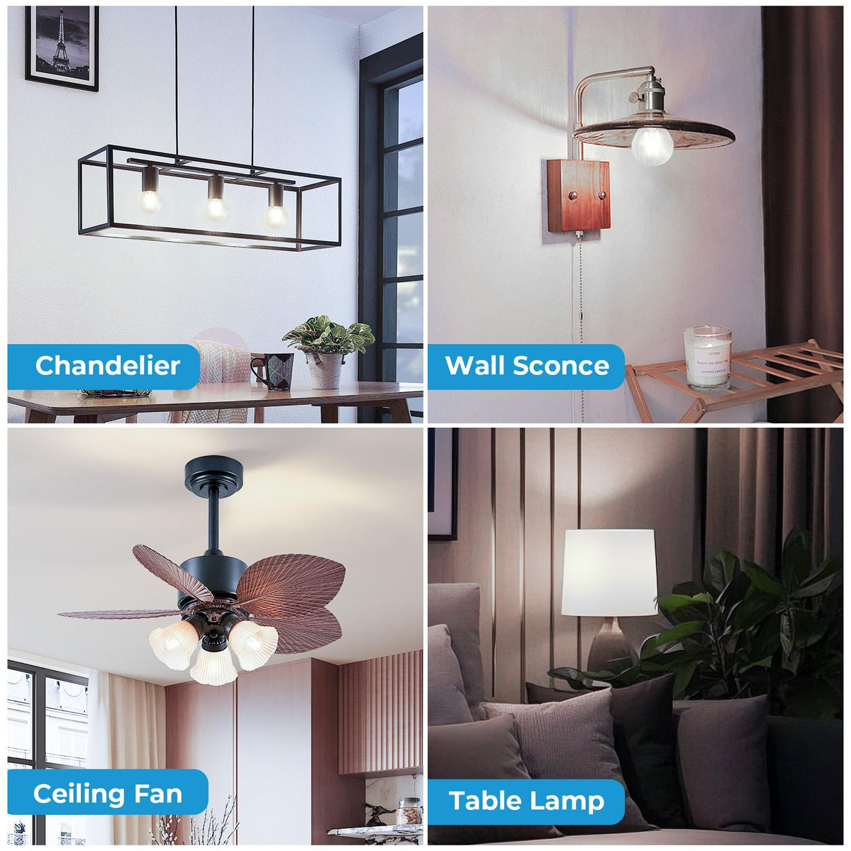 E26 Base G16.5 Edison Globe LED Bulb (6 Pack / 60w Neutral White)