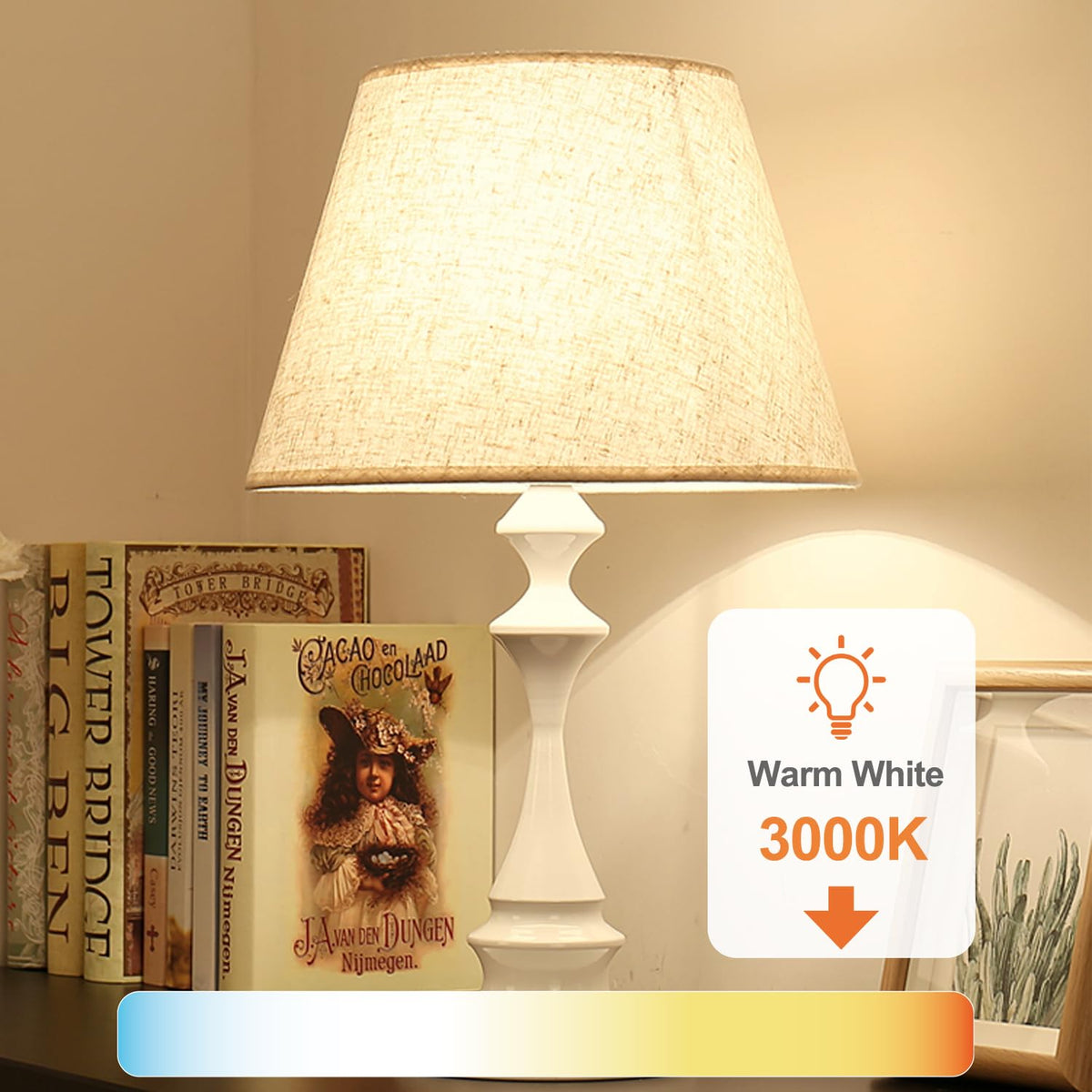 24 Pack A19 LED Light Bulbs Warm White 3000K (3000k Warm White / 24 Pack)