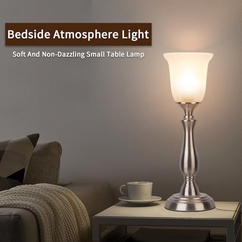 Farmhouse Table Lamp for Living Room (Brushed Nickel)
