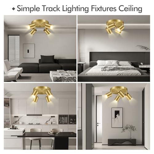 LED 4 Light Track Lighting Kit (4 Light-Gold)
