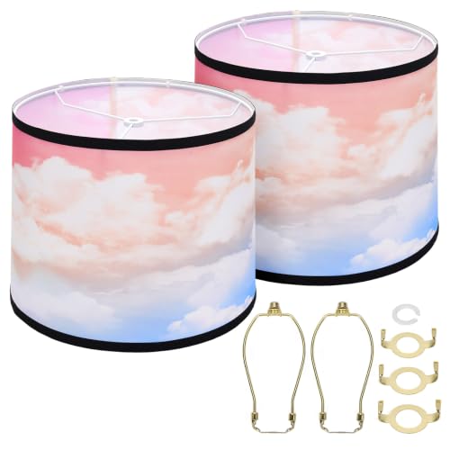 Drum Lamp Shades Set of 2 (Rainbow)