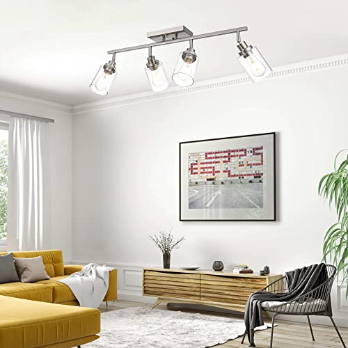 4 Light Track Lighting Kit 28.7 Inch Bathroom Vanity Light Fixtures (Brushed Nickel / 4-Light)