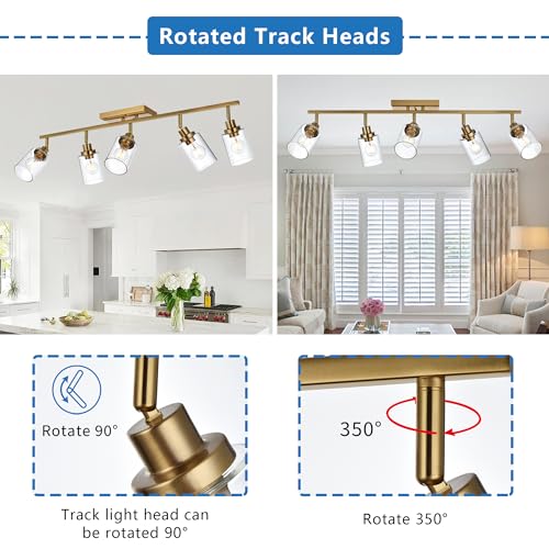 5 Light Track Lighting Kit Brass with 5 Rotatable Light Heads (Brass / 5-Light)