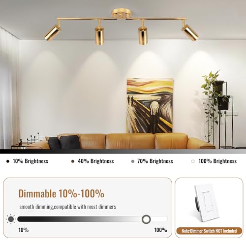 LED Track Lighting Kit 48W Track Light (Gold)