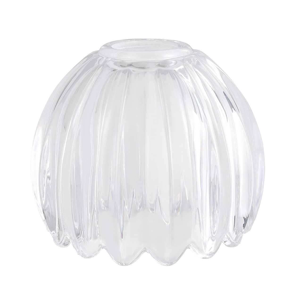 Tulip Lamp Shades Replacement (Clear)