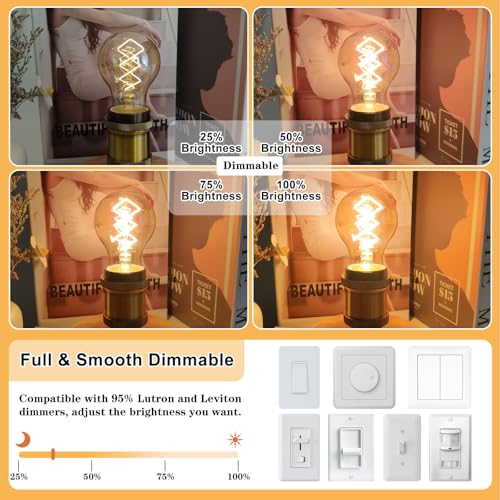 A19 Vintage LED Edison Bulbs