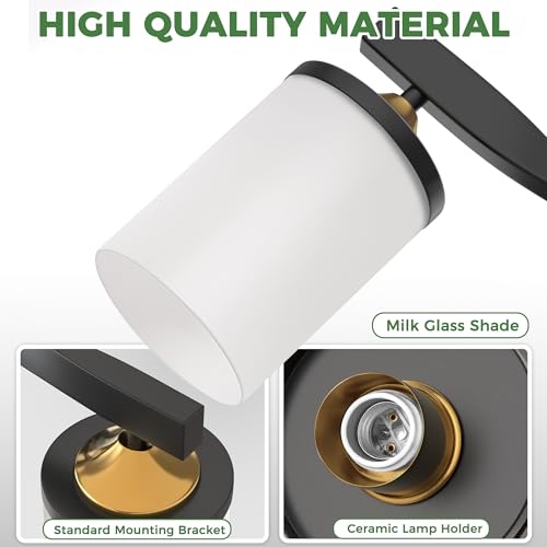 Bathroom Vanity Light Over Mirror (Black and Gold & Milky White / 4-Light)
