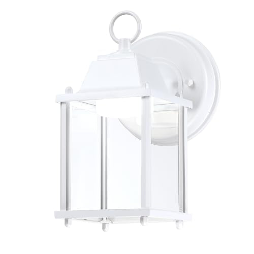 Outdoor Wall Light Fixture (5000K White / 1-pack)