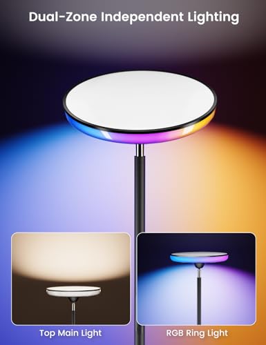 UFO Torchiere Floor Lamp (Black)