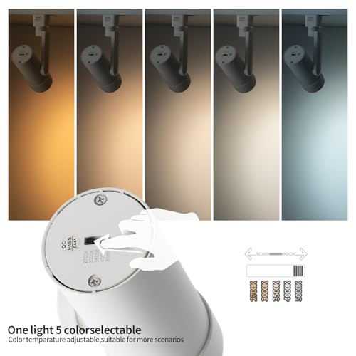 5 Color Zoomable LED Track Lighting Heads (White)