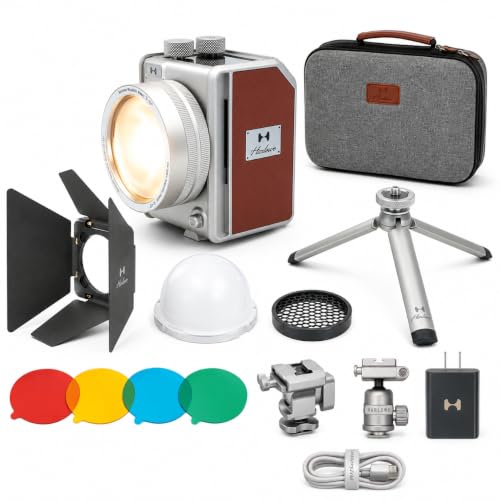 Mini II 20W LED Video Light