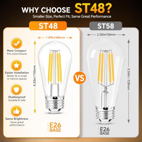 Vintage LED Edison Light Bulbs (8)