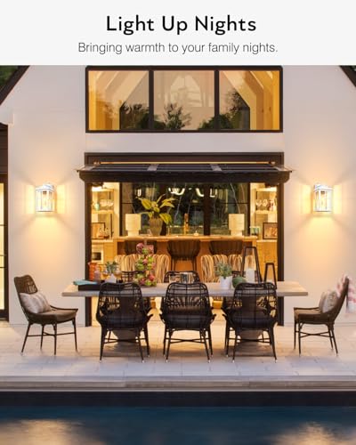 White Outdoor Light Fixture (Dusk to Dawn 2 Pack / White)