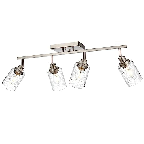 4 Light Track Lighting Fixtures (Brushed Nickel / 4-Light)
