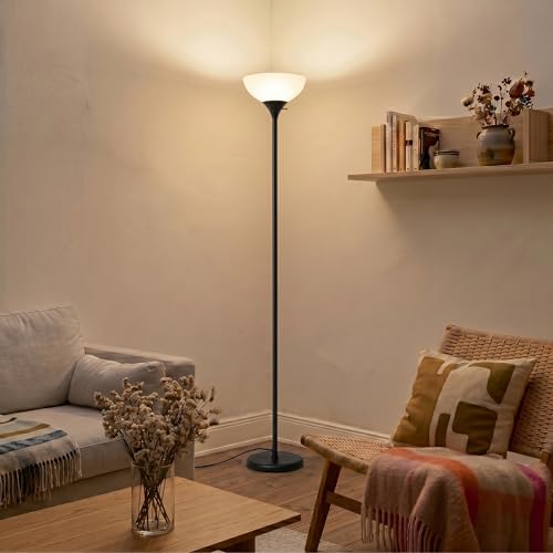 Sky Dome Dimmable LED Floor Lamp (Jet Black)