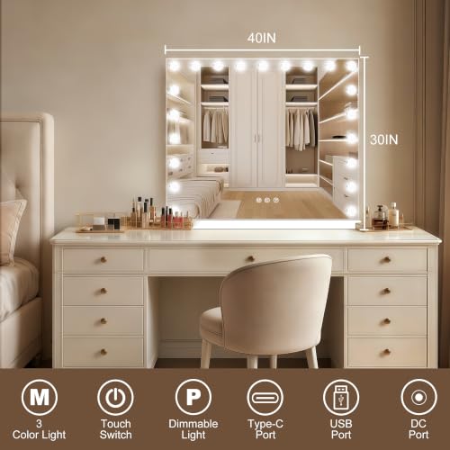 Vanity Mirror with Lights (White / 40"L x 30"W)