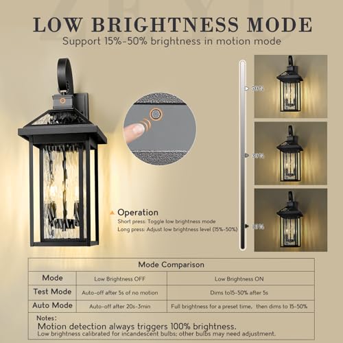Motion Porch Light (Black - Water Ripple Glass / 22.6 Inch - Motion Sensor)