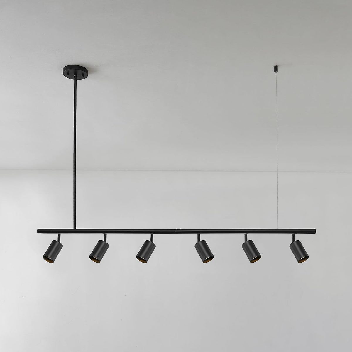 55" 6 Light Matte Black Adjustable Height Track Lighting with Pivoting Track Heads (Black, Cynthia)