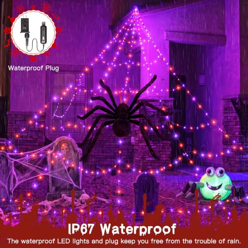 Halloween Web Lights with Spiders