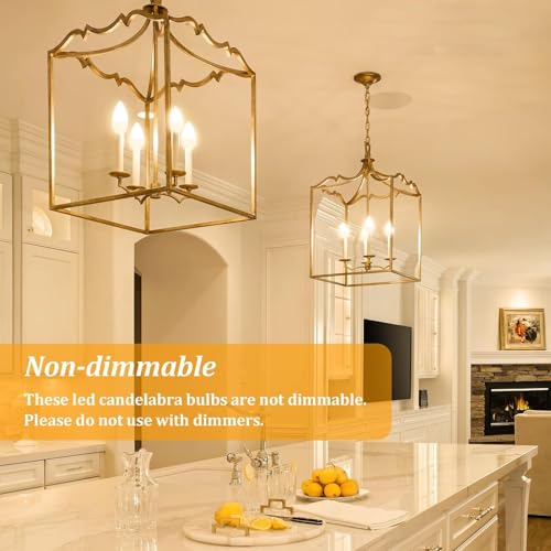 E12 LED Candelabra Light Bulbs 40W Equivalent (2700k Warm White / 12 Pack)