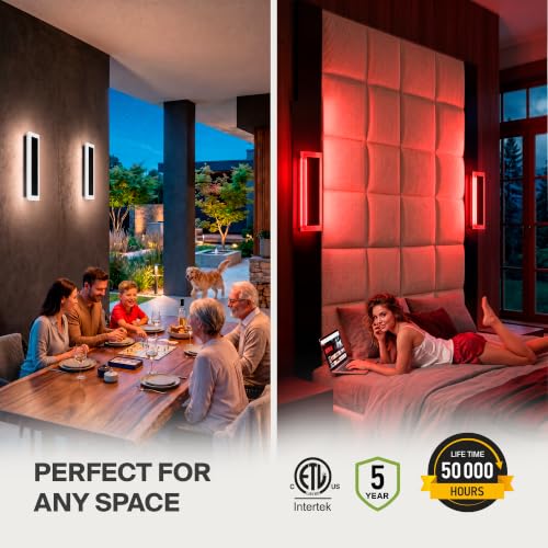 18" LED Linear Wall Sconce (Black)
