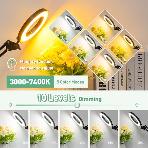 Magnifying Glass with Light and Clamp (4.2IN)