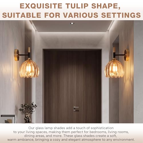 2 Pcs Glass Tulip Lamp Shade (Clear)