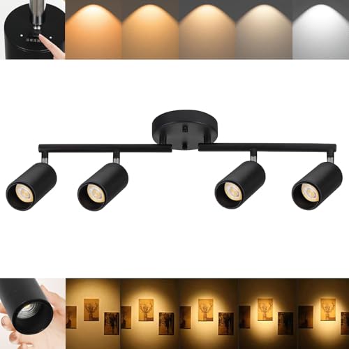 LED Track Lighting Kit 48W Track Light (Black)