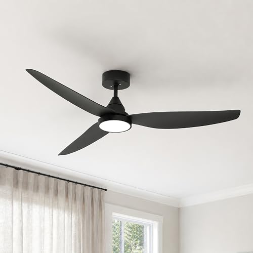 Ceiling Fan with Light