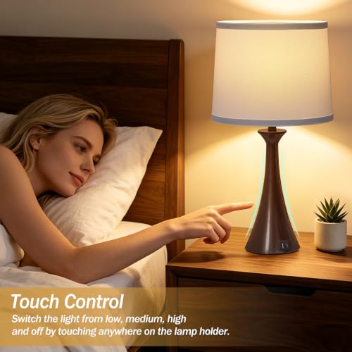Touch Table Lamps Set of 2 (Brown 2pcs)