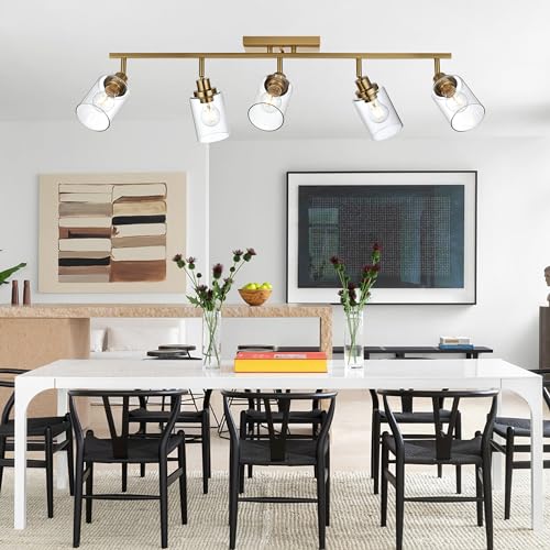 5 Light Track Lighting Kit Brass with 5 Rotatable Light Heads (Brass / 5-Light)